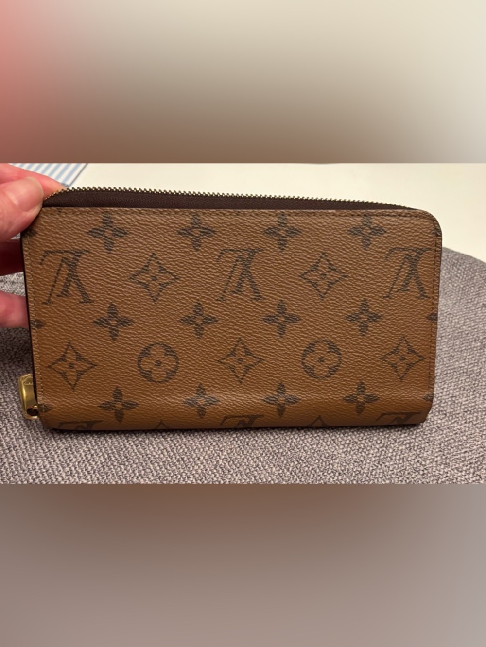 Louis Vuitton Monogram Canvas Zip Pouch in Tan and Dark Brown